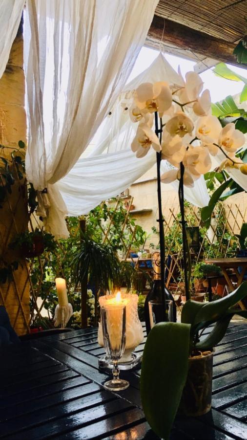 Botanica B&B ซากฮรา ภายนอก รูปภาพ