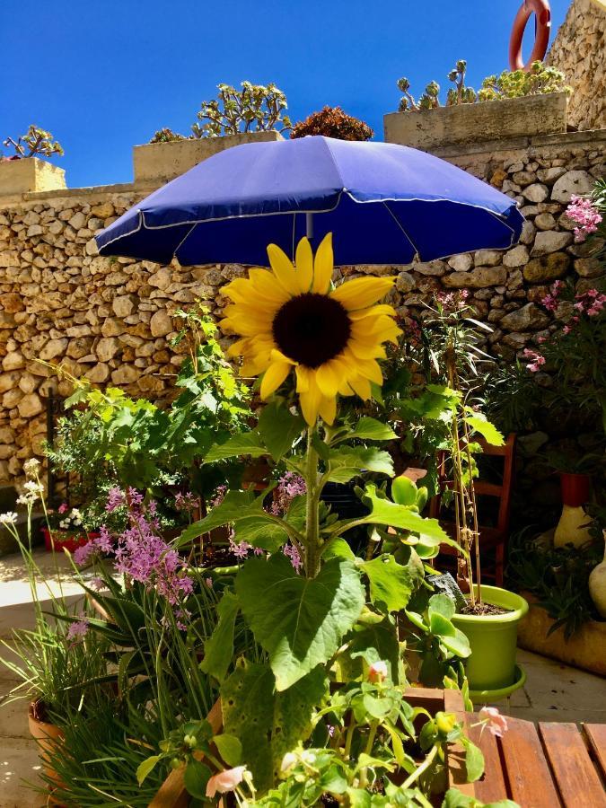 Botanica B&B ซากฮรา ภายนอก รูปภาพ