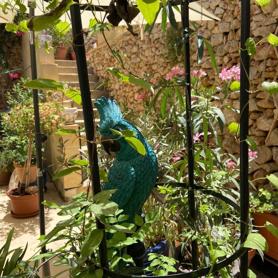Botanica B&B ซากฮรา ภายนอก รูปภาพ