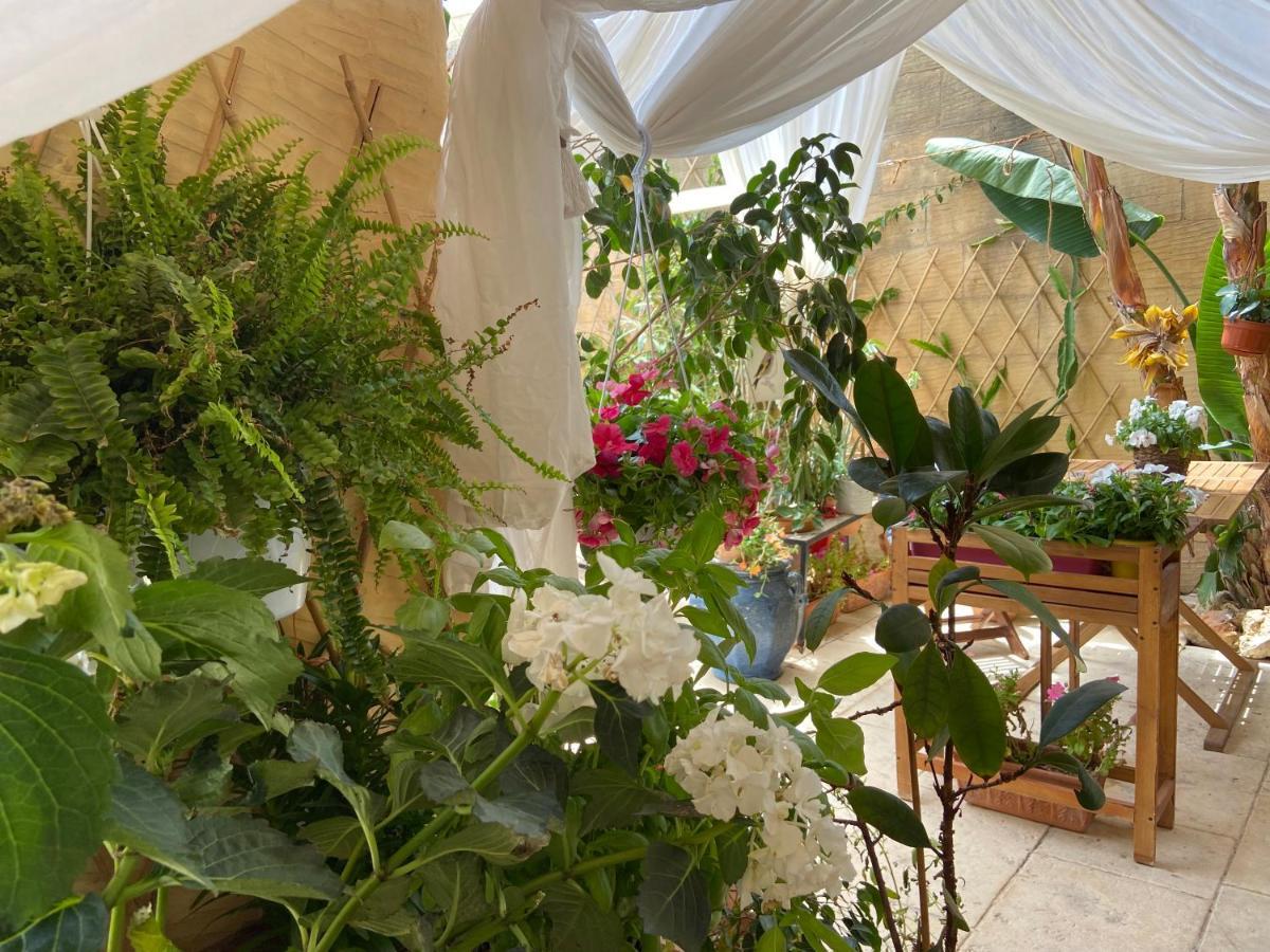Botanica B&B ซากฮรา ภายนอก รูปภาพ
